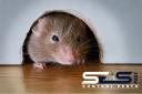 SES Rodent Control Perth logo